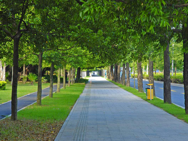 美国对环境工程的研究及法案的实施