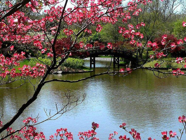 新房开荒保洁的验收标准涉及到哪些方面