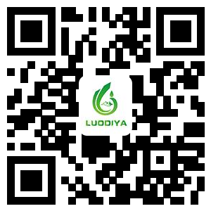 华人策略celue地址